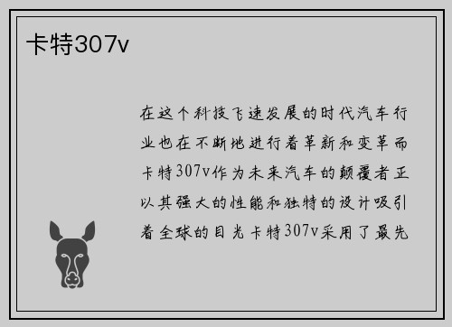 卡特307v