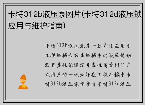 卡特312b液压泵图片(卡特312d液压锁应用与维护指南)