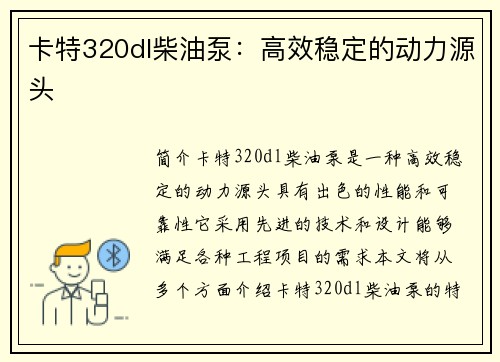 卡特320dl柴油泵：高效稳定的动力源头