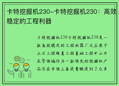 卡特挖掘机230-卡特挖掘机230：高效稳定的工程利器